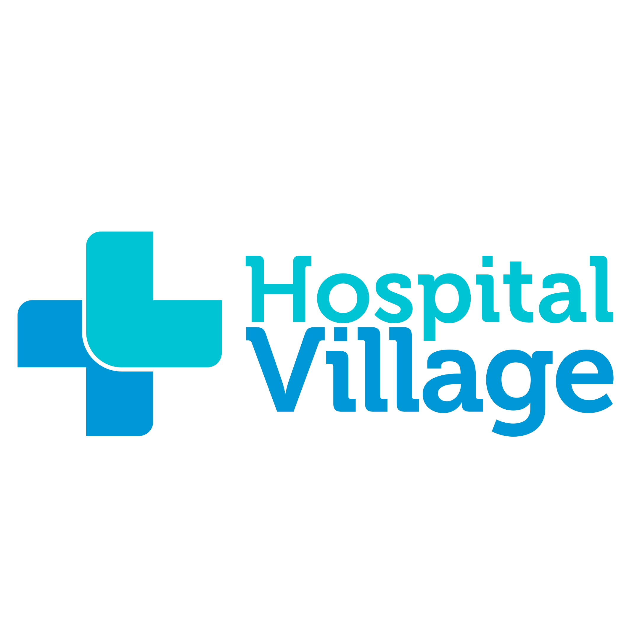 HOSPITAL VILLAGE